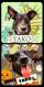 Maxcotea | Foto de Yako - Perro, Raza: Otro | Yacko | Maxcotea, Adopción de mascotas. Adopción de perros. Adopción de gatos.