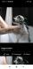 Maxcotea | Foto de Nasaui - Perro, Raza: Bobtail
 | Nasaui | Maxcotea, Adopción de mascotas. Adopción de perros. Adopción de gatos.