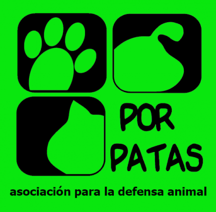 Maxcotea | Foto del maxcotero PorPatas | Maxcotea, Adopción de mascotas. Adopción de perros. Adopción de gatos.