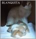 Maxcotea | Foto de Blanquita - Gato, Raza: Gato común europeo | Blanquita en adopción | Maxcotea, Adopción de mascotas. Adopción de perros. Adopción de gatos.