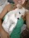 Maxcotea | Foto de Vega - Perro, Raza: Otro | Vega más recuperada | Maxcotea, Adopción de mascotas. Adopción de perros. Adopción de gatos.