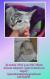 Maxcotea | Foto de Alana - Gato, Raza: Siames
 | 🌸Alana🌸 | Maxcotea, Adopción de mascotas. Adopción de perros. Adopción de gatos.