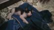 Maxcotea | Foto de Jhonny Depp - Gato, Raza: Abisinio
 | Jhonny Deep | Maxcotea, Adopción de mascotas. Adopción de perros. Adopción de gatos.