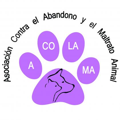 Maxcotea | Foto del maxcotero acolamalasenia | Maxcotea, Adopción de mascotas. Adopción de perros. Adopción de gatos.