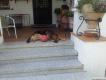 Maxcotea | Foto de Kas - Perro, Raza: Pastor Aleman | Kas en el patio | Maxcotea, Adopción de mascotas. Adopción de perros. Adopción de gatos.