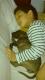 Maxcotea | Foto de nikita - Perro, Raza: Staffordshire Bull Terrier
 | mi pekeña | Maxcotea, Adopción de mascotas. Adopción de perros. Adopción de gatos.